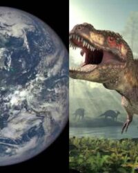 earth dino