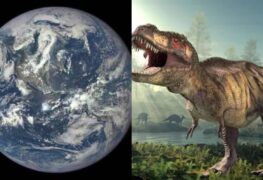 earth dino