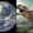 earth dino
